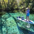 Create Listing: Manatees Paddle Board or kayak Adventure at Silver Springs
