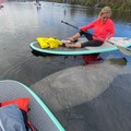Create Listing: Wildlife Paddle Board or Kayak Adventure at Blue Spring