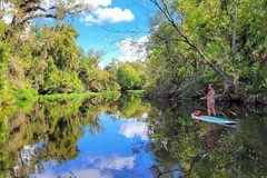 Create Listing: Paddleboard or Kayak Swim & Hike Adventure at Wekiva Springs