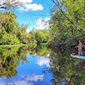 Create Listing: Paddleboard or Kayak Swim & Hike Adventure at Wekiva Springs