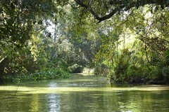 Create Listing: Emerald Cut Kayak Adventure - 3hours