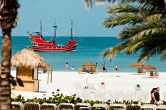 Create Listing: Clearwater Beach Day Tours - 12 hours - (SAVE UP TO 25%)