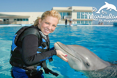 Create Listing: Dolphin Swim Adventure - (SAVE UP TO 20%)