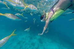 Create Listing: Excited about snorkel tours of sombrero reef in Florida?
