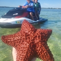 Create Listing: Book your Florida Jet Ski Rental with us today