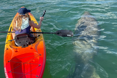 Create Listing: Kayak Tours, SUP Boards, & Kayak Rentals Florida