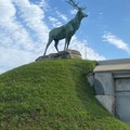Create Listing: Tour Greenwood Cemetery - 1.5hrs
