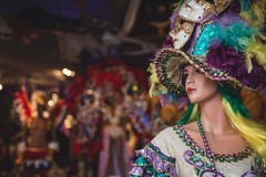 Create Listing: The Mardi Gras Experience -  2hrs