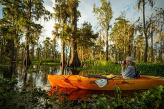 Create Listing: Daily Swamp Photo Tours - 5hrs