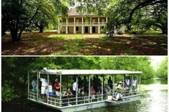 Create Listing: Pontoon Boat Swamp Tour & Whitney Museum Plantation - 8.5hrs