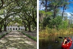 Create Listing: Kayak Swamp and Whitney Plantation Combo Tour - 8 hrs