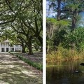 Create Listing: Kayak Swamp and Whitney Plantation Combo Tour - 8 hrs