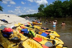 Create Listing: Honey Island Kayak Swamp Tour 2hrs