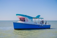 Create Listing: Shark Boat - 1hr