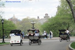 Create Listing: 2 Hrs Central Park Pedicab Tour - Main Features