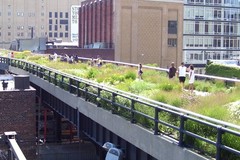 Create Listing: High Line Tour+Greenwich Village Food Tour+Historic Downtown