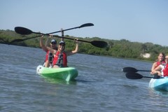 Create Listing: Eco Tour Kayaking with Dolphins St. Augustine - 2hrs