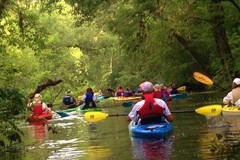 Create Listing: Old Florida Backwater Kayak Adventure - 2hrs