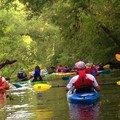Create Listing: Old Florida Backwater Kayak Adventure - 2hrs