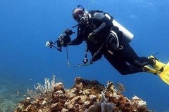Create Listing: Open Water Dive Certification - age 10+