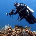 Create Listing: Open Water Dive Certification - age 10+