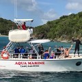 Create Listing: Private Half Day Snorkeling Trip - 4hrs