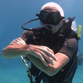 Create Listing: Rescue Diver Certification