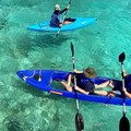 Create Listing: Dolphin Kayak Experience - 40 mins