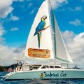 Create Listing: Snorkel Cat Adventure - 5hrs