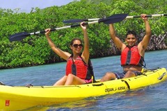 Create Listing: Kayak Rental - explore on your own Mangrove Lagoon -full day