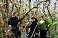 Create Listing: Full Day Tour: Wet Hike & Everglades Adventure
