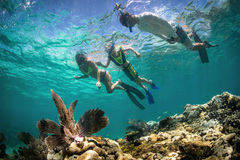 Create Listing: Florida Keys Marine Eco Adventure - 11 hours