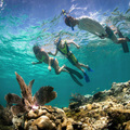 Create Listing: Florida Keys Marine Eco Adventure - 11 hours