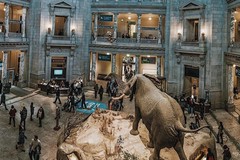 Create Listing: Smithsonian National Museum of Natural History Tour – Semi