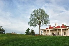 Create Listing: Mount Vernon and Old Town Alexandria Tour - 5hrs