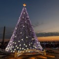Create Listing: Holiday Lights Tour - 3hrs