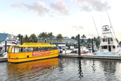 Create Listing: Water Taxi Hop  On/Off | 5 and under free - Stop 7