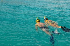 Create Listing: Snorkel Trip