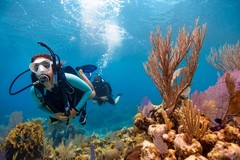 Create Listing: Scuba Diving Trip - Ages 10+ • 4 hours • Up to 6 passengers