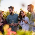 Create Listing: Napa and Sonoma Valley Wine Country Discovery Tour 1 day fro