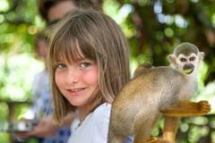 Create Listing: Monkeyland and Plantation tour: 5 hrs with Transportation