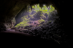 Create Listing: Camuy Caves Experience Tour with Transportation