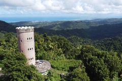Create Listing: El Yunque Rainforest  Hiking Tour