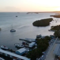 Create Listing: Luminous One- La Parguera Bio Bay Boat Ride With Swimming