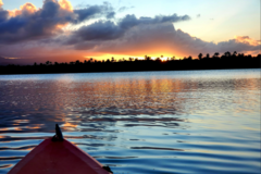 Create Listing: Natural One- Laguna Grande Bio Bay Kayaking