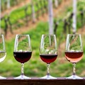 Create Listing: Half-Day Hill Country Wine Shuttle