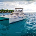 Create Listing: Fancy Scott --- Luxury Private Yacht Cruise