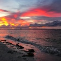 Create Listing: Fort Myers Beach Sunset Tour