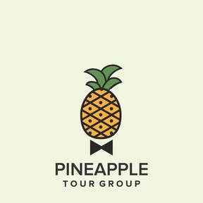 Pineapple Tour Group