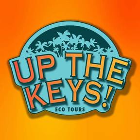 Up The Keys